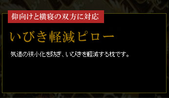 �����Ɖ��Q�̑o���ɑΉ��@���т��y���s���[