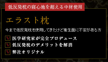 �ᔽ�����̐Q�S�n�𒴂��钆�ގg�p�@�G���X�g��